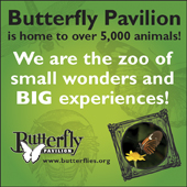Butterfly Pavilion