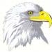 BaldEagle