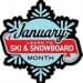 LearnToSki2011-logo