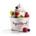 yogurtland-cup-small