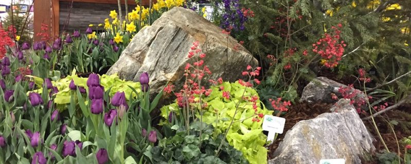 5 Ways To Save On Colorado Garden Home Show Tickets Mile High