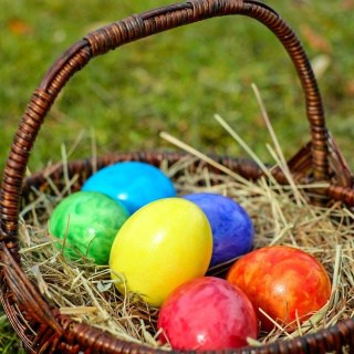 Find the best Easter egg hunts and celebrations