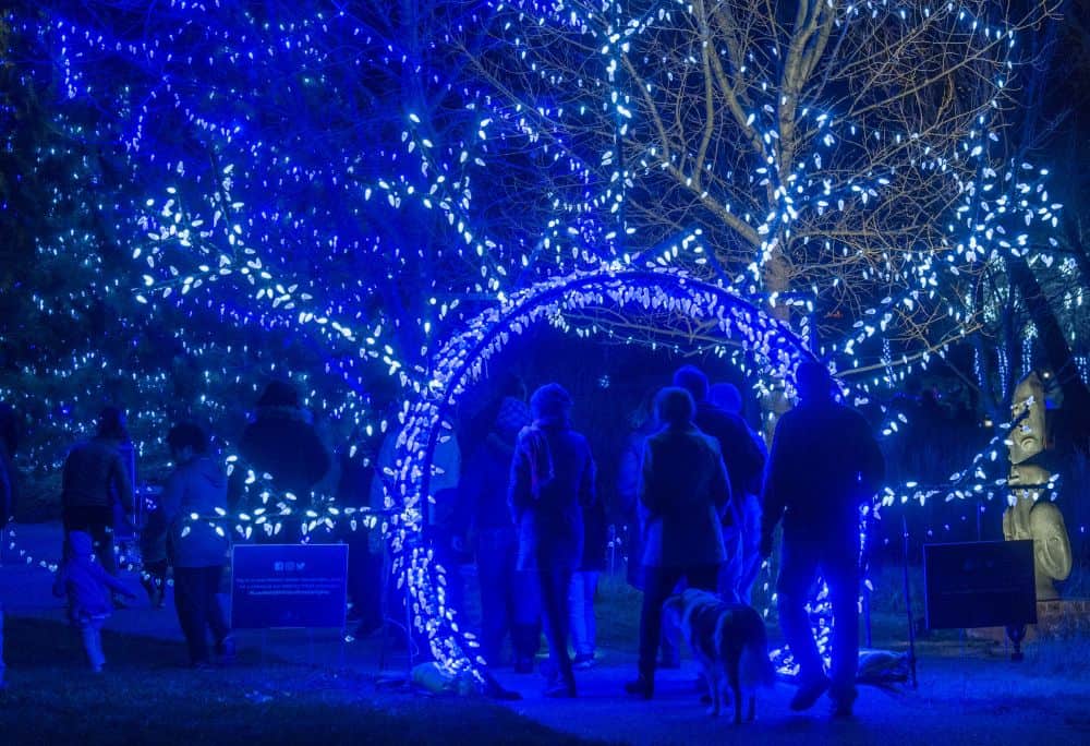 Loveland's Winter Wonderlights Illuminate The Season Mile High on the