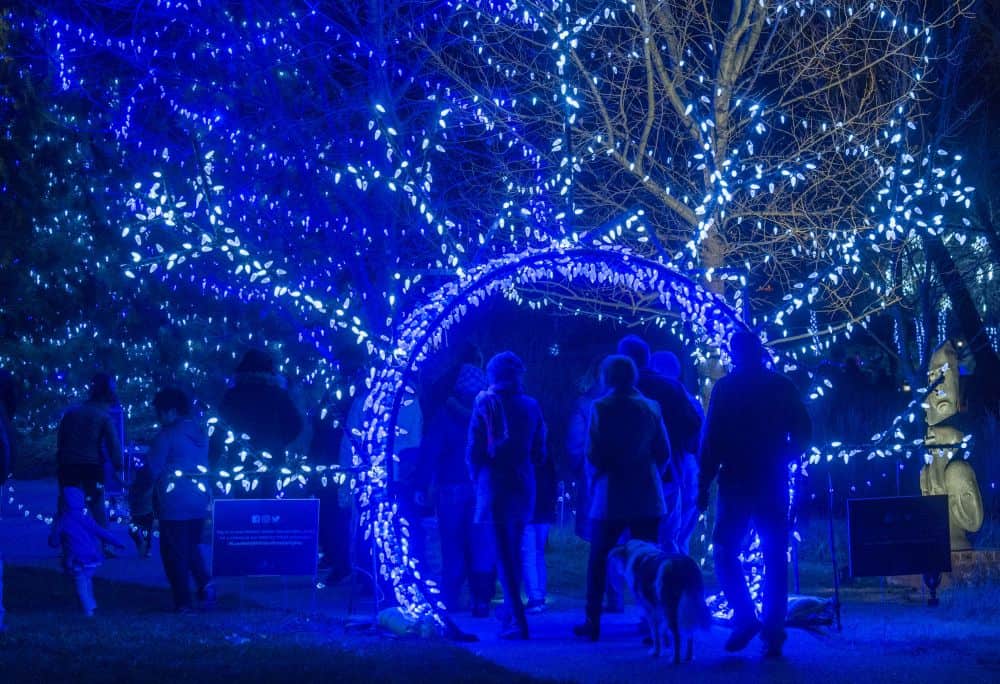 christmas light tours denver