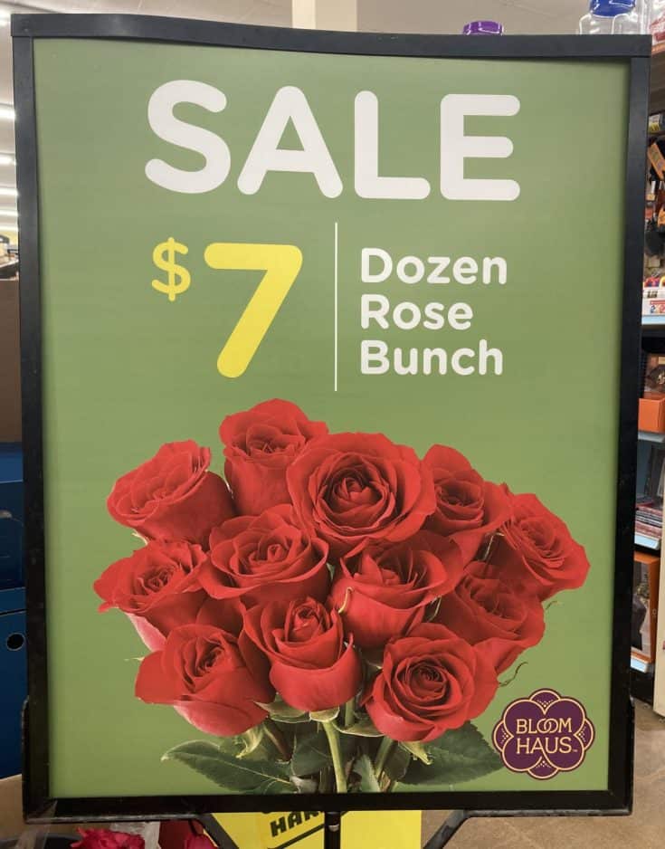 One More Week! King Soopers Get Two Dozen Bloom Haus Roses for 12