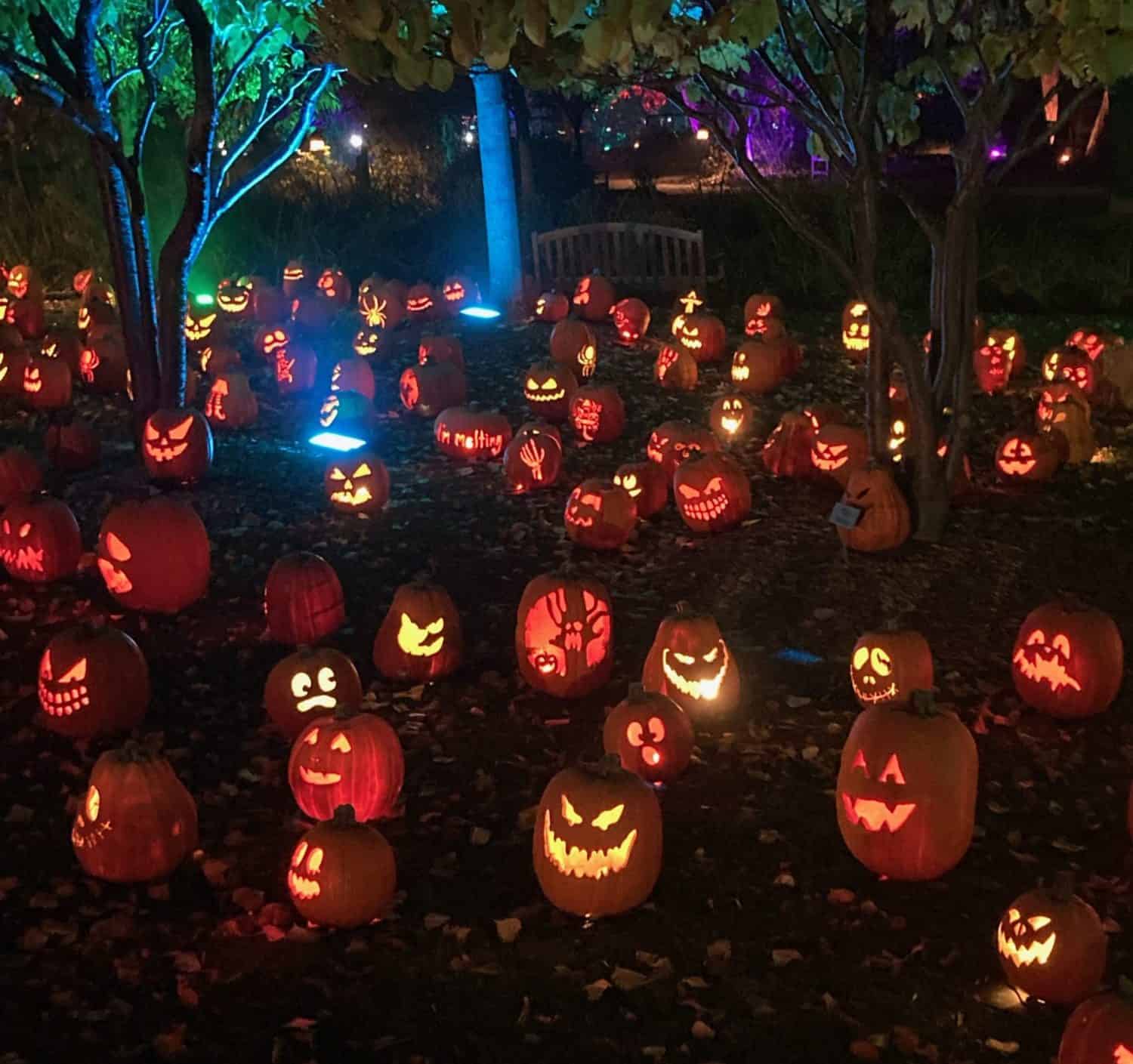 Magic of the Jack O’Lanterns Comes to Hudson Gardens Mile High on the