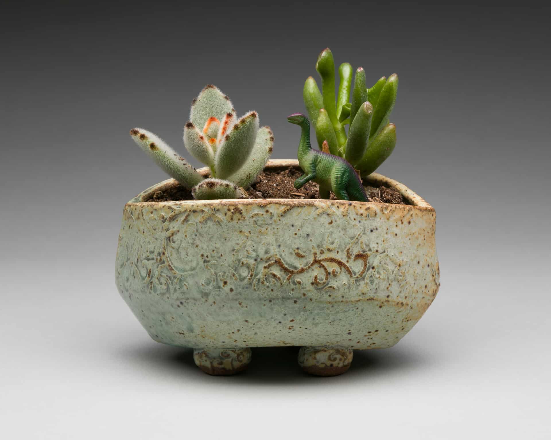 Denver Potters Association Spring Show & Sale Mile High on the Cheap