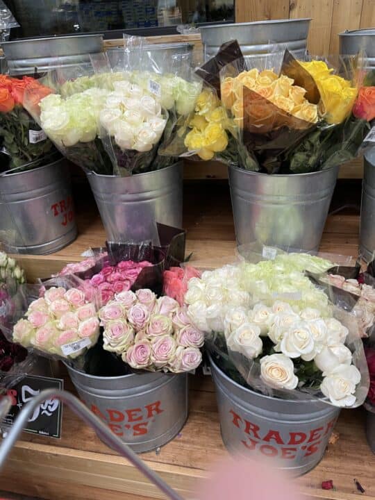 Where Can You Get a Dozen Roses for Only 9.99 Every Day? Mile High