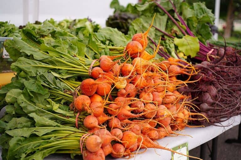 31 Denver Area Farmers' Markets Worth Checking Out In 2024 Mile High