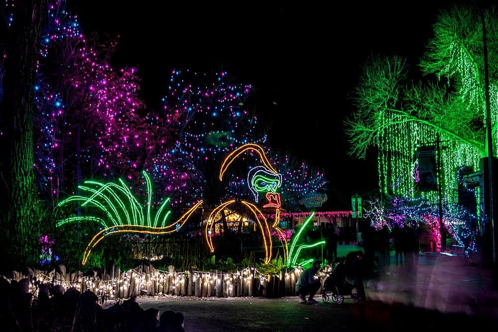 Denver Zoo Lights Tickets Expected To